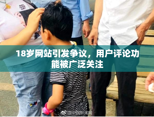 18岁网站引发争议，用户评论功能被广泛关注
