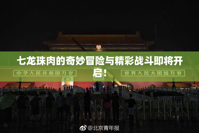 七龙珠肉的奇妙冒险与精彩战斗即将开启！