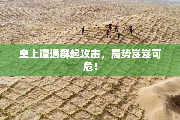 皇上遭遇群起攻击，局势岌岌可危！