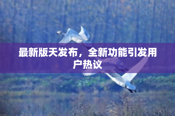 最新版天发布，全新功能引发用户热议
