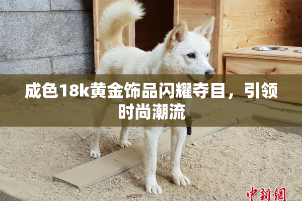成色18k黄金饰品闪耀夺目，引领时尚潮流