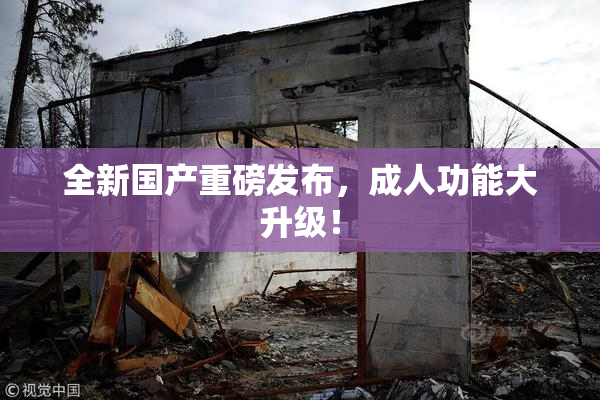 全新国产重磅发布，成人功能大升级！