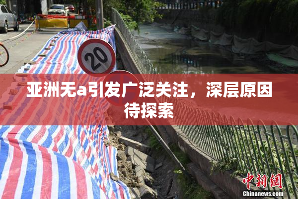 亚洲无a引发广泛关注，深层原因待探索