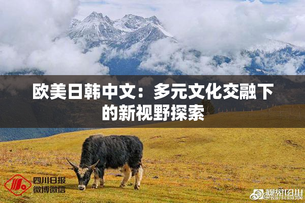 欧美日韩中文：多元文化交融下的新视野探索