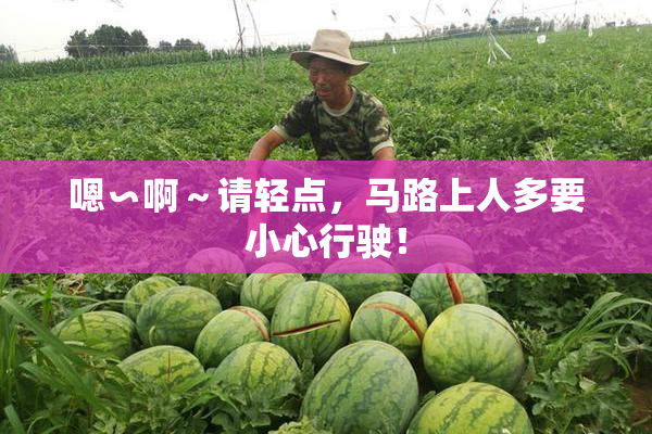 嗯∽啊～请轻点，马路上人多要小心行驶！