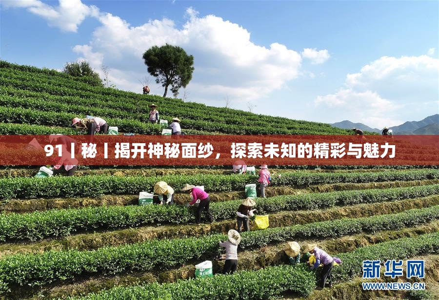 91丨秘丨揭开神秘面纱，探索未知的精彩与魅力