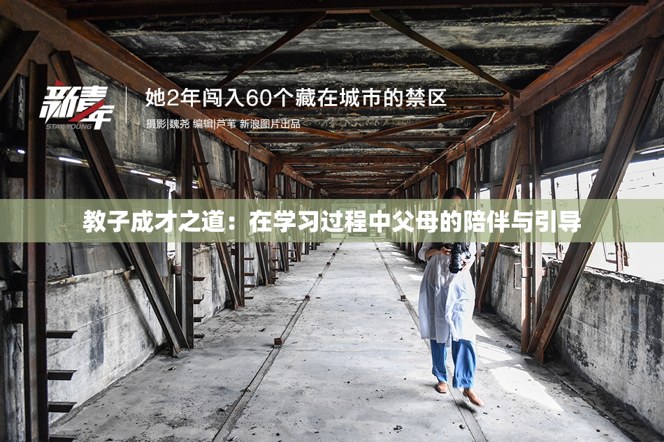 教子成才之道：在学习过程中父母的陪伴与引导