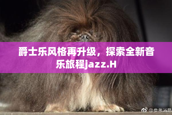 爵士乐风格再升级，探索全新音乐旅程jazz.H