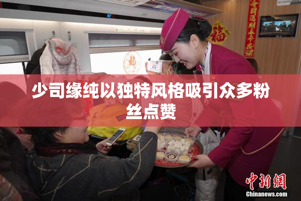 少司缘纯以独特风格吸引众多粉丝点赞