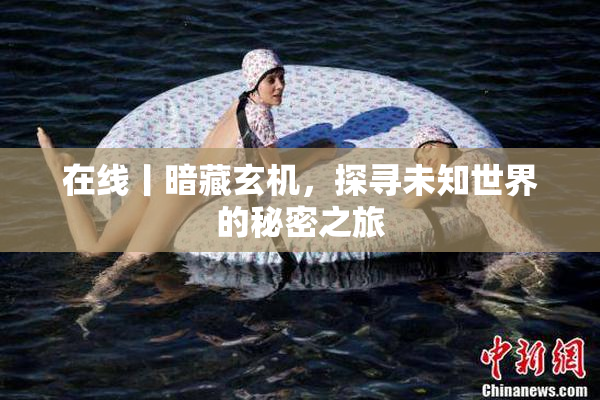 在线丨暗藏玄机，探寻未知世界的秘密之旅