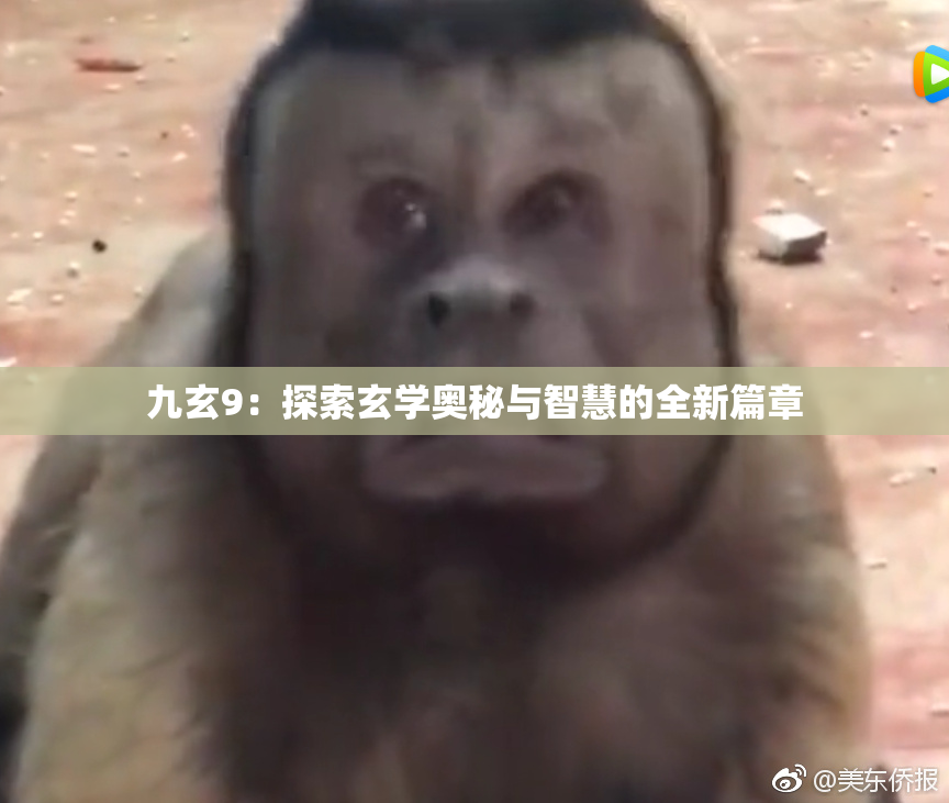 九玄9：探索玄学奥秘与智慧的全新篇章