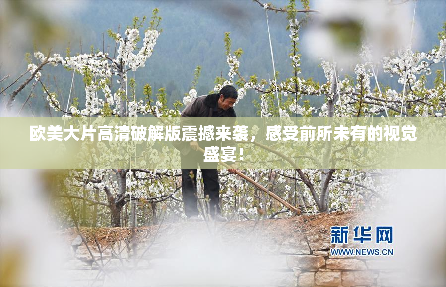 欧美大片高清破解版震撼来袭，感受前所未有的视觉盛宴！
