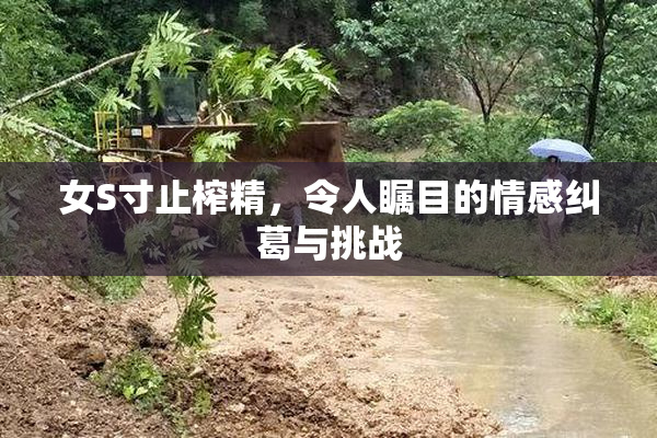 女S寸止榨精，令人瞩目的情感纠葛与挑战