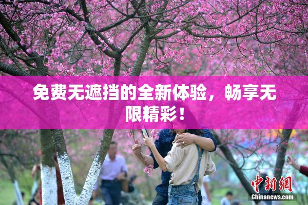 免费无遮挡的全新体验，畅享无限精彩！