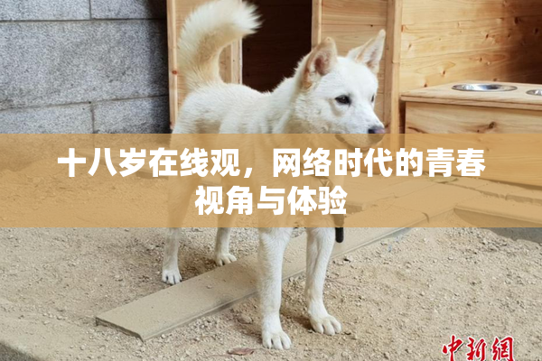 十八岁在线观，网络时代的青春视角与体验