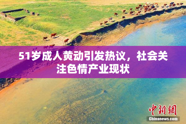 51岁成人黄动引发热议，社会关注色情产业现状