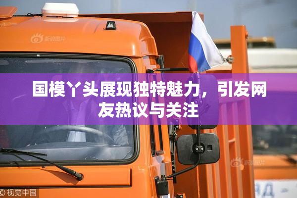 国模丫头展现独特魅力，引发网友热议与关注