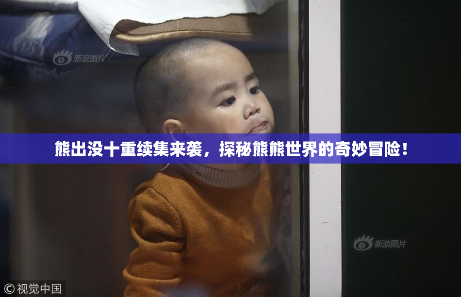 熊出没十重续集来袭，探秘熊熊世界的奇妙冒险！