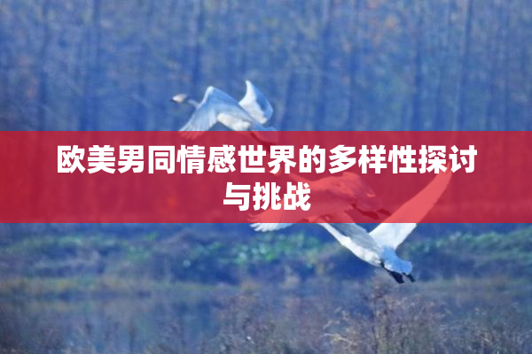 欧美男同情感世界的多样性探讨与挑战