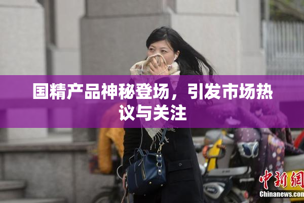 国精产品神秘登场，引发市场热议与关注