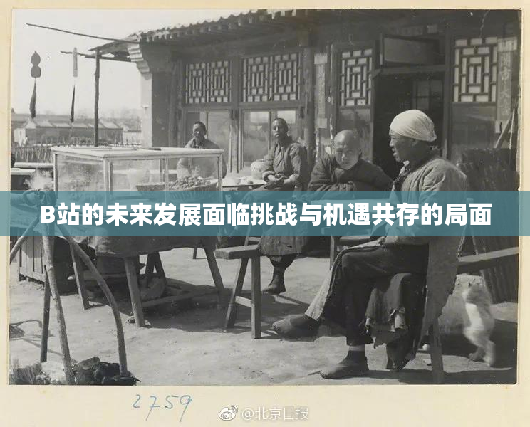 B站的未来发展面临挑战与机遇共存的局面