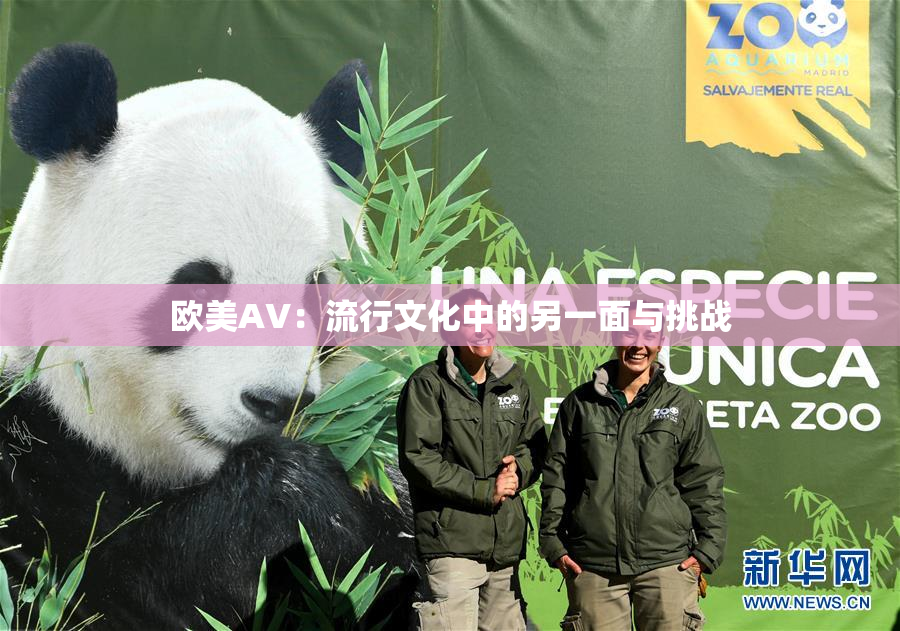 欧美AV：流行文化中的另一面与挑战