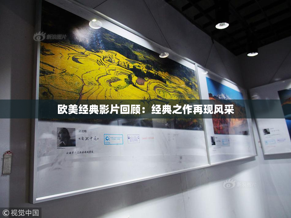 欧美经典影片回顾：经典之作再现风采