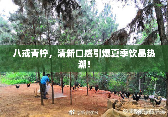 八戒青柠，清新口感引爆夏季饮品热潮！