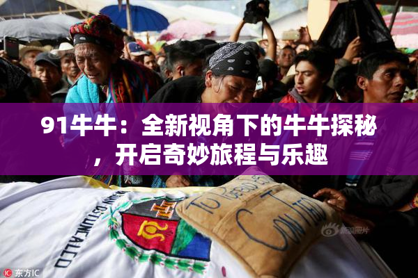 91牛牛：全新视角下的牛牛探秘，开启奇妙旅程与乐趣