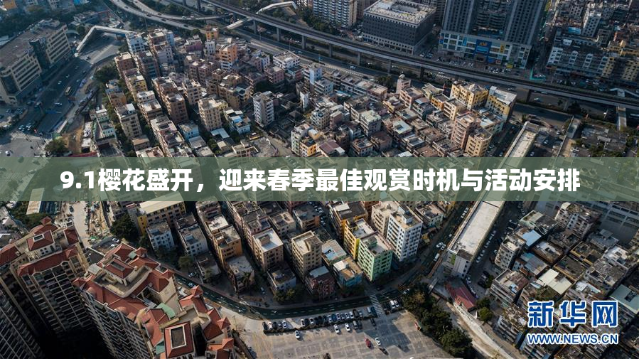 9.1樱花盛开，迎来春季最佳观赏时机与活动安排