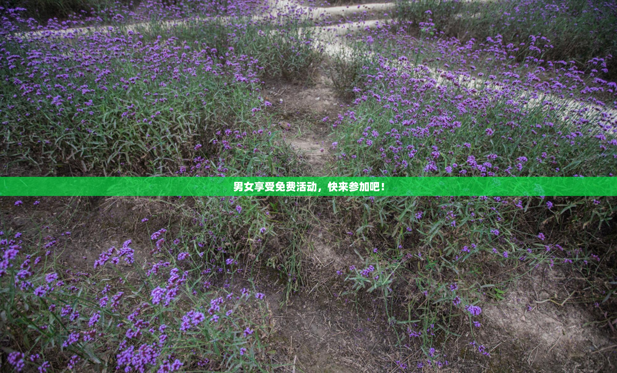 男女享受免费活动，快来参加吧！