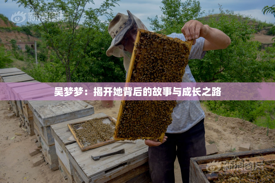 吴梦梦：揭开她背后的故事与成长之路