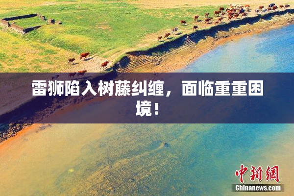 雷狮陷入树藤纠缠，面临重重困境！