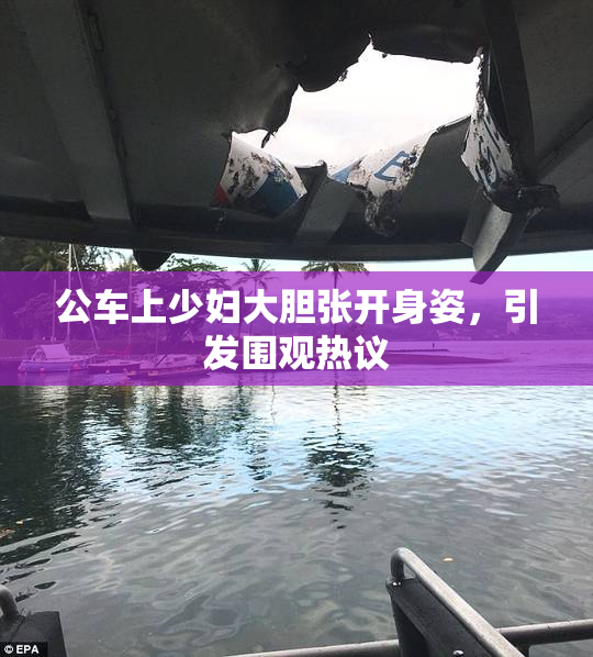 公车上少妇大胆张开身姿，引发围观热议