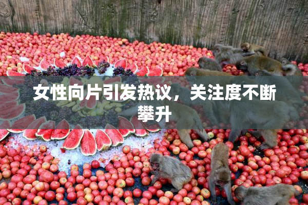 女性向片引发热议，关注度不断攀升