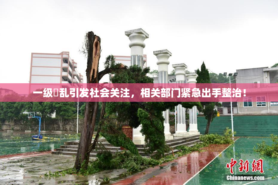 一级婬乱引发社会关注，相关部门紧急出手整治！