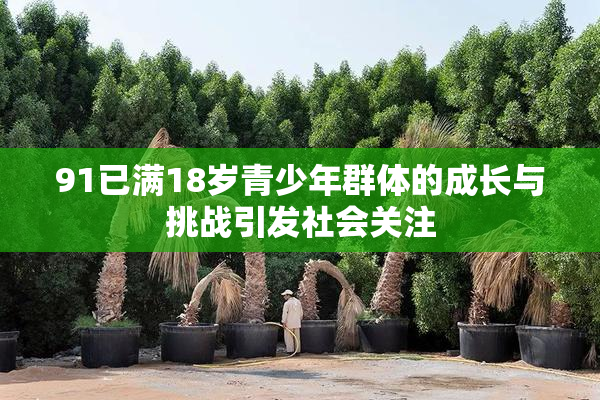 91已满18岁青少年群体的成长与挑战引发社会关注