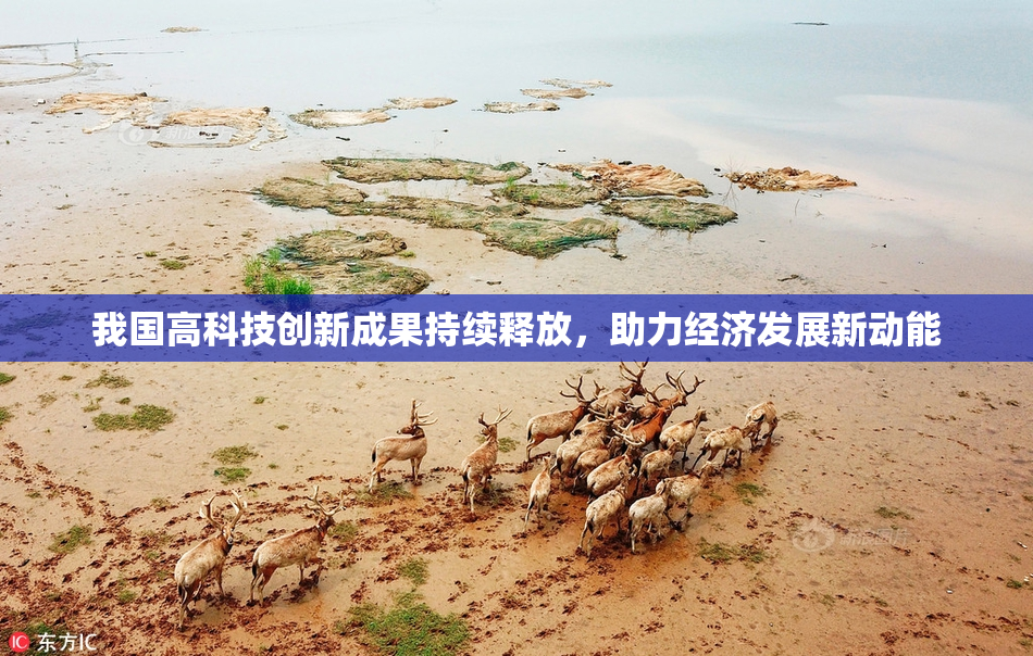 我国高科技创新成果持续释放，助力经济发展新动能