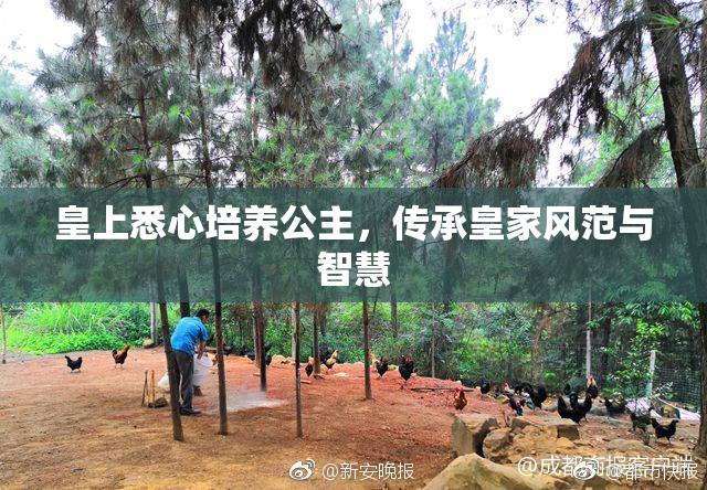 皇上悉心培养公主，传承皇家风范与智慧