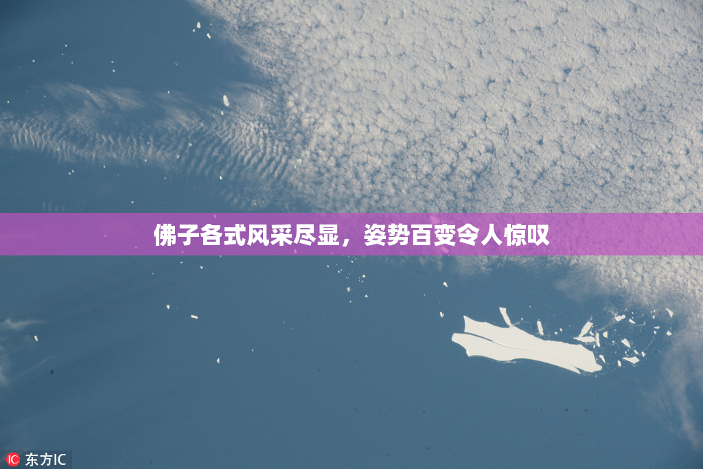 佛子各式风采尽显，姿势百变令人惊叹