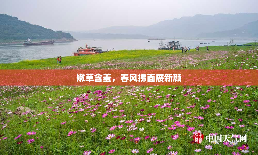嫩草含羞，春风拂面展新颜