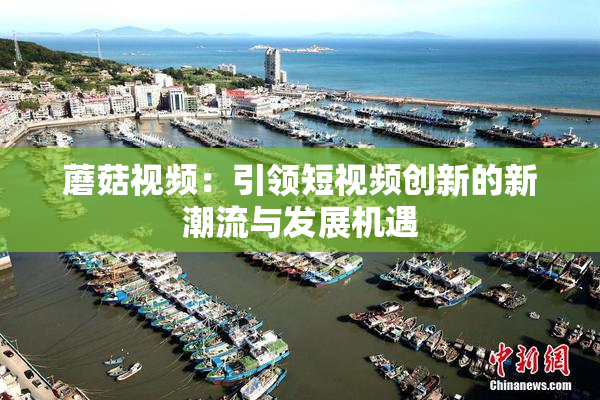蘑菇视频：引领短视频创新的新潮流与发展机遇
