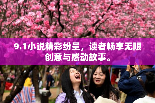 9.1小说精彩纷呈，读者畅享无限创意与感动故事。
