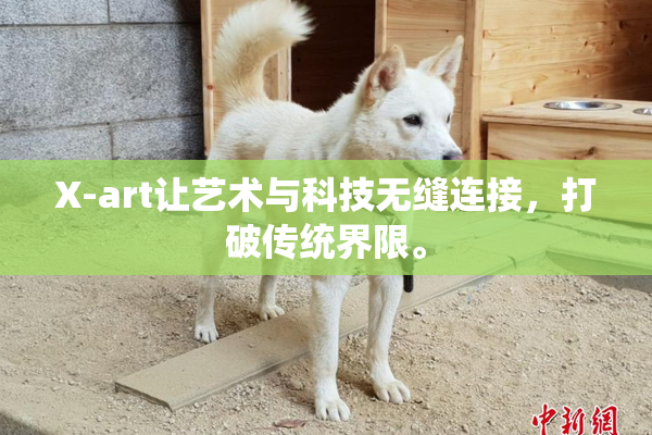 X-art让艺术与科技无缝连接，打破传统界限。