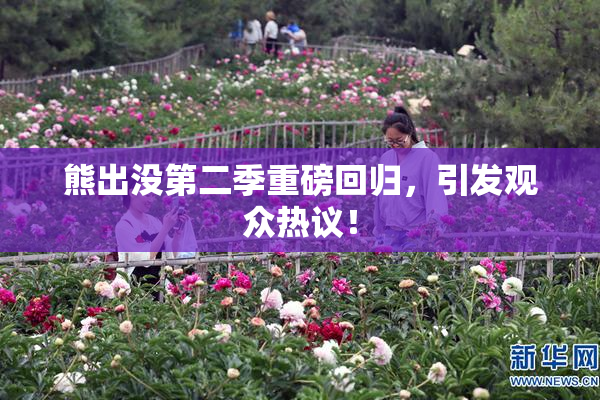 熊出没第二季重磅回归，引发观众热议！