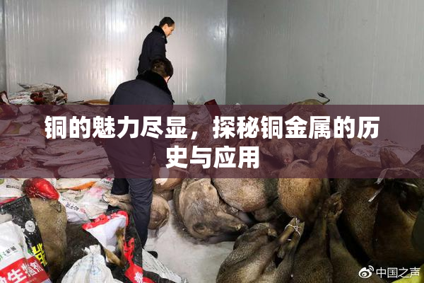 铜的魅力尽显，探秘铜金属的历史与应用