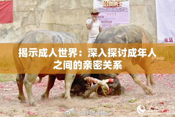 揭示成人世界：深入探讨成年人之间的亲密关系