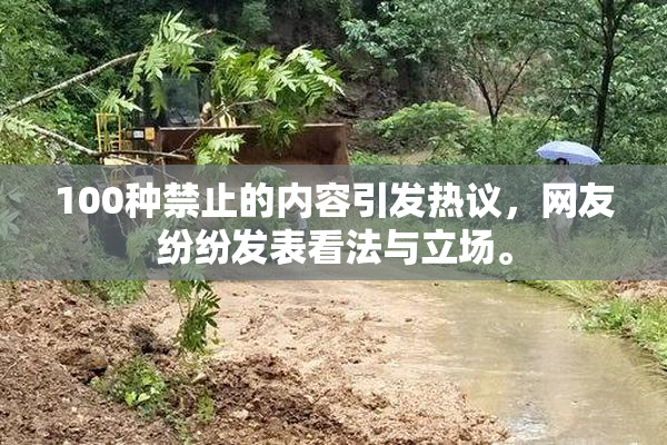 100种禁止的内容引发热议，网友纷纷发表看法与立场。