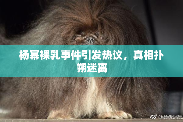杨幂裸乳事件引发热议，真相扑朔迷离