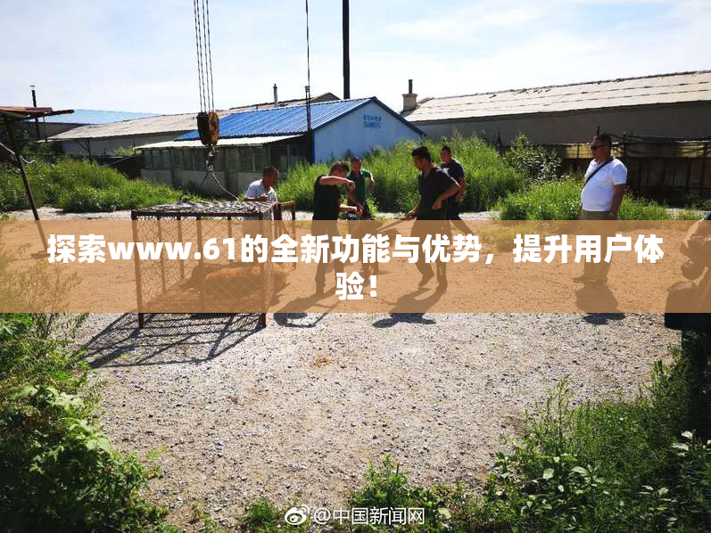 探索www.61的全新功能与优势，提升用户体验！